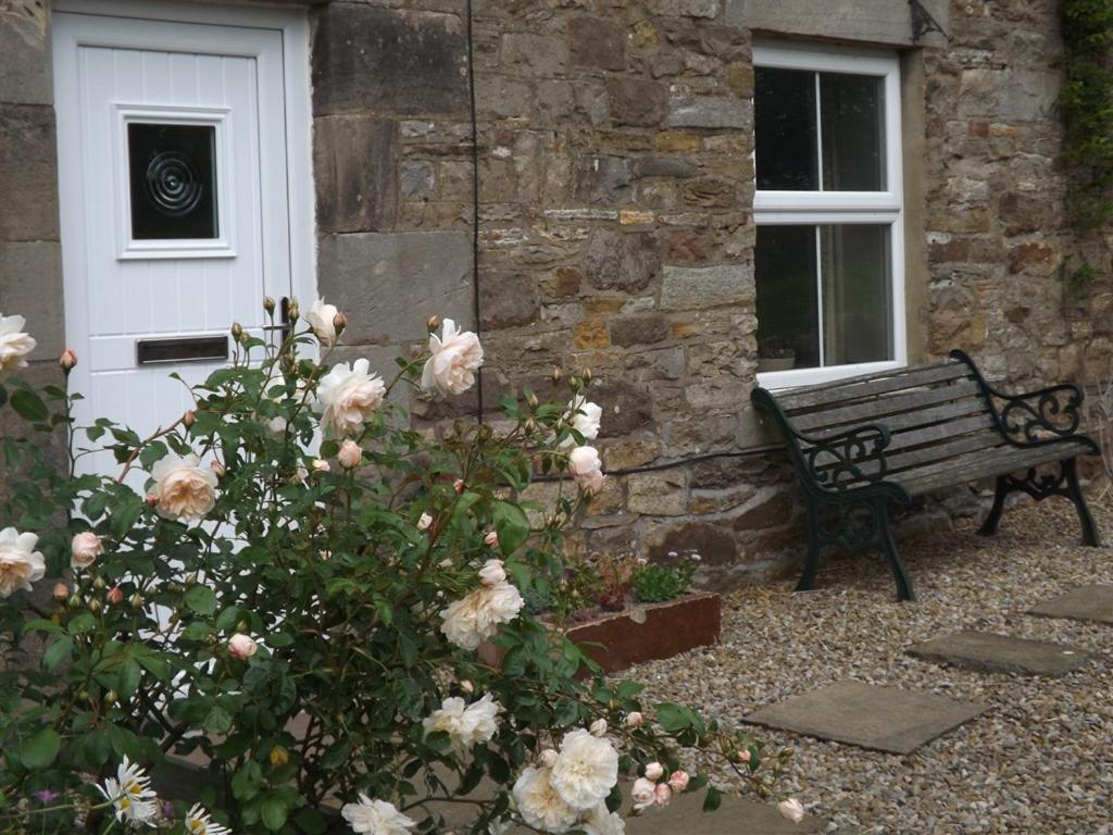 Hillis Close Farm Cottage 霍特惠斯尔 外观 照片