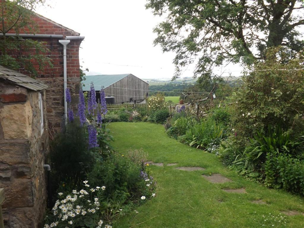 Hillis Close Farm Cottage 霍特惠斯尔 外观 照片