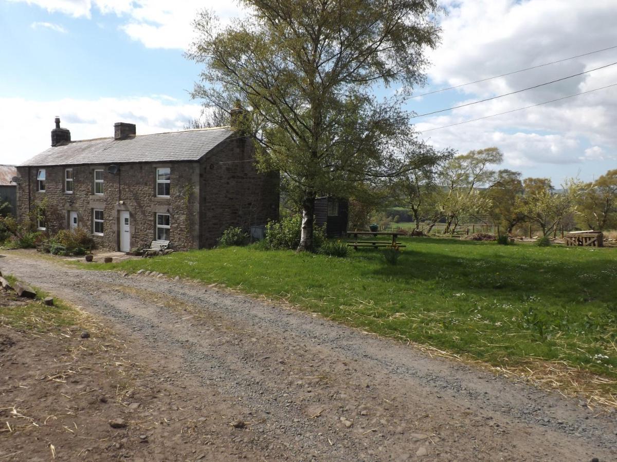 Hillis Close Farm Cottage 霍特惠斯尔 外观 照片